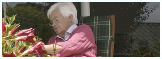 24 Std. Betreuungsdienst